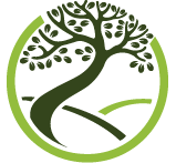 Baumpfleger37 - Göttingen - Kassel - Teillogo - Funkraupe37